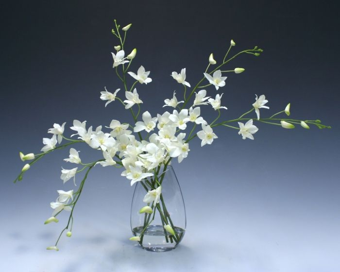 Waterlook (R) White Dendrobium Orchid In Angled Glass Vase