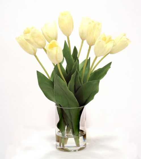 Waterlook (R) White Dutch Tulips in Glass Cylinder