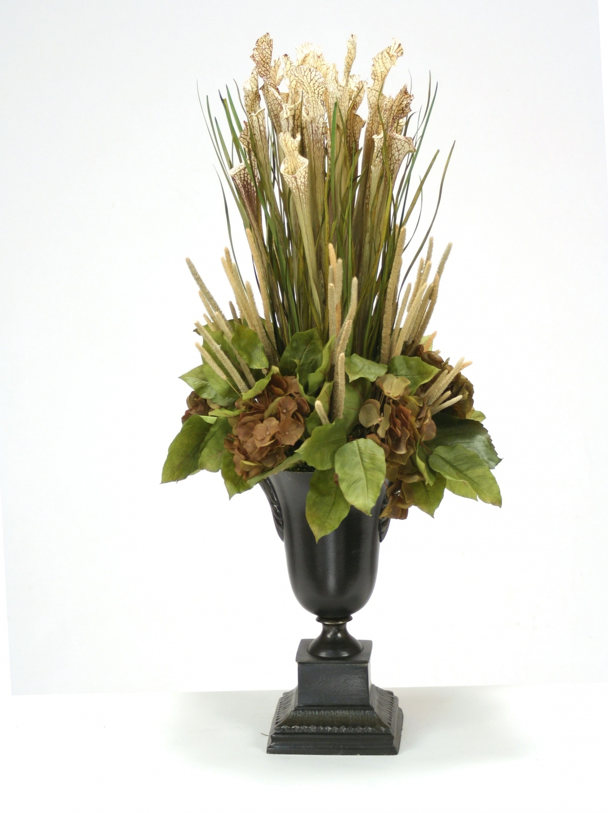 Natural Sarracenia, Grass, Millet and Hydrangeas in Metal Urn Natural Sarracenia, Grass, Millet and Hydrangeas in Metal Urn