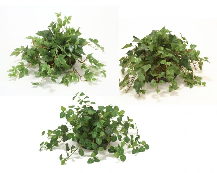 ASSORTED GREENERY TOPPERS IN BROWN CLAY SAUCER (set/3) ASSORTED GREENERY TOPPERS IN BROWN CLAY SAUCER (set/3)