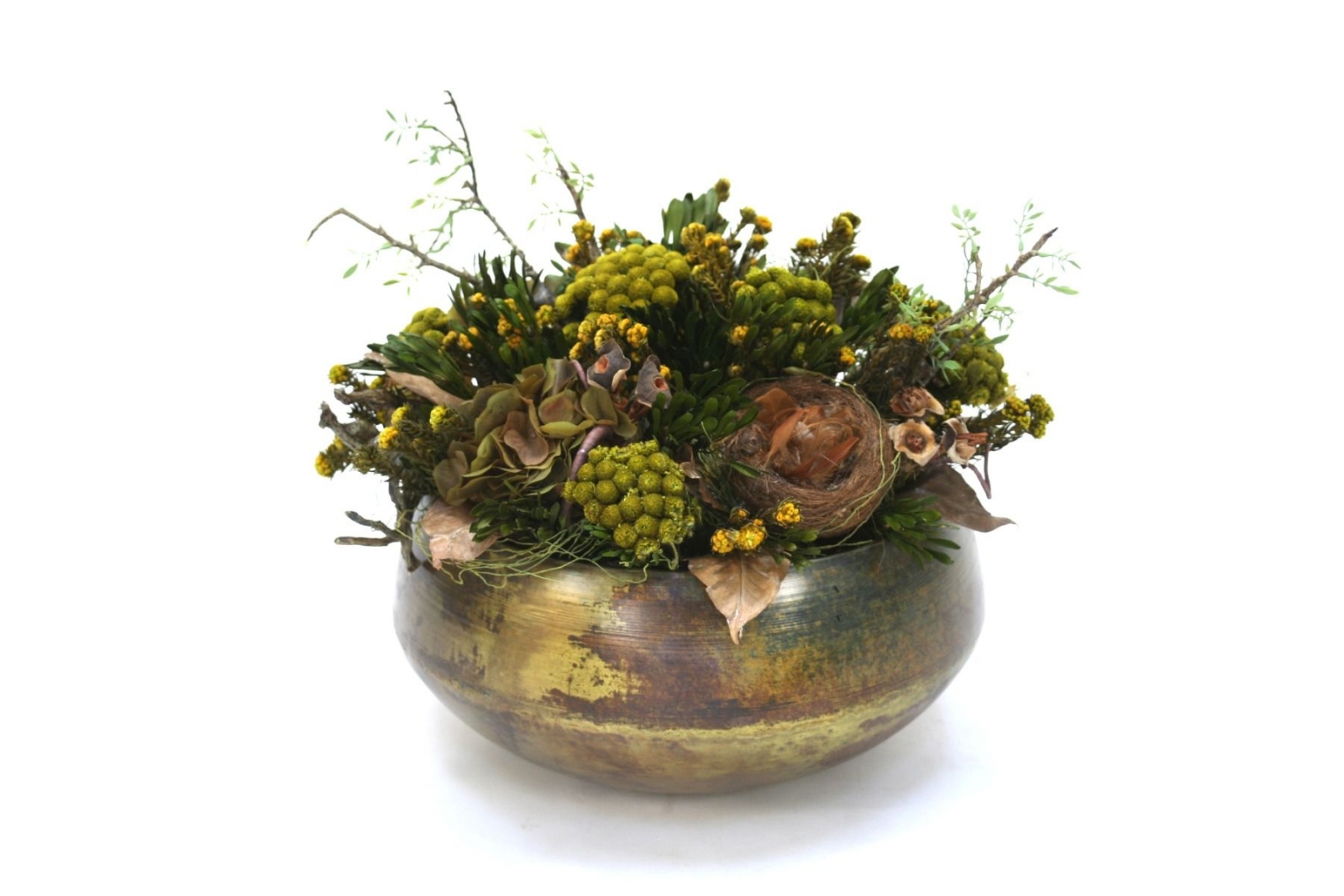 Hydrangea with Phylica, Brunia and Bird Nest in Green Metal Sosa Bowl Hydrangea with Phylica, Brunia and Bird Nest in Green Metal Sosa Bowl