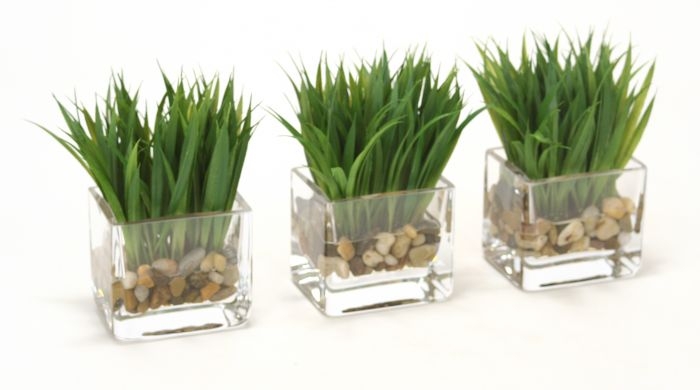 Waterlook (R) Grass In Glass Square Cube (set of 3) Waterlook (R) Grass In Glass Square Cube (set of 3)