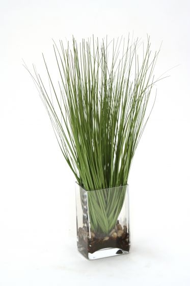 Waterlook (R) Grass in Rectangular Glass Waterlook (R) Grass in Rectangular Glass