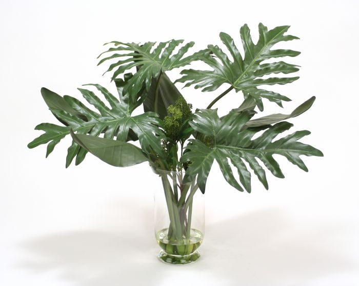 Waterlook (R) Philodendron and Exotic Bird of Paradise in Glass Vase Waterlook (R) Philodendron and Exotic Bird of Paradise in Glass Vase
