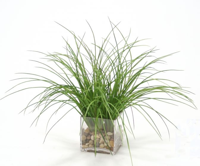 Waterlook (R) Plastic Grass In Square Clear Waterlook (R) Plastic Grass In Square Clear