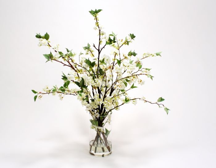 Waterlook (R) White Cherry Blossoms in Clear Glass Cylinder Waterlook (R) White Cherry Blossoms in Clear Glass Cylinder