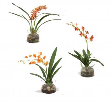 Assorted Silk Orchid Plants, Each in Glass Cylinder (Pack of 3)