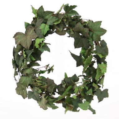 DIY Foliage Wreath 18'L Artificial Frosted Green Ivy Wreath