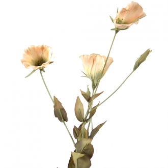 DIY Flower 23'L Ivory Artificial Lisianthus x 3 Blooms, 1 Bud, 10 Leaves