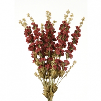 DIY Flower 26'L Wine Artificial Delphinium, 4 Leaf Clusters