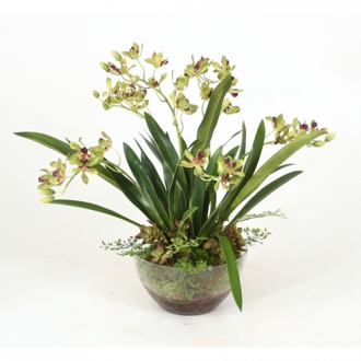 Green Silk Vanda Orchids, Maiden Hair Fern in Glass Bowl