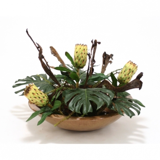 Silk Tropical Foliage with Proteas, Natrag and Pods in Mocha Glazed Bowl