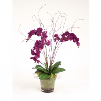 Silk Violet Orchid with Kiwi Vines, Birch Twigs and Preserved Orchid Bark in Glass Planter