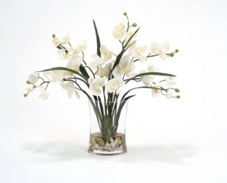 Waterlook (R) Cream Phalaenopsis Orchids And Foliage In Narrow Oval Glass Vase