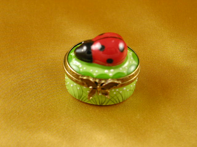 Mini ladybug on oval Mini ladybug on oval