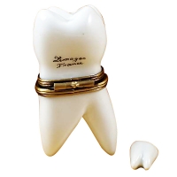 LARGE WHITE BABY TOOTH W/REMOVABLE TOOTH