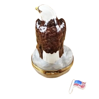 BALD EAGLE WITH AMERICAN FLAG