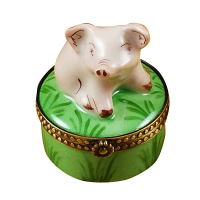 Mini Pig On Green Base Mini Pig On Green Base