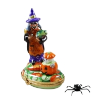 Witch with Pumpkin and Removable Spider