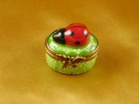 Mini ladybug on oval Mini ladybug on oval
