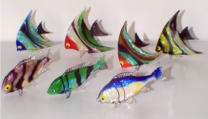 Colorful assortment Fish