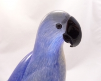 Blue parrot with black beak on a branch