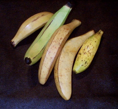 Assorted Bananas