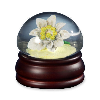 Edelweiss Flower Mushroom Water Globe music box