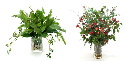 Waterlook Plants Waterlook Plants
