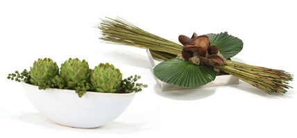 Tabletop Plants Tabletop Plants