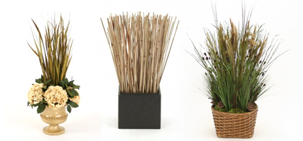 Dried Greenery Dried Greenery