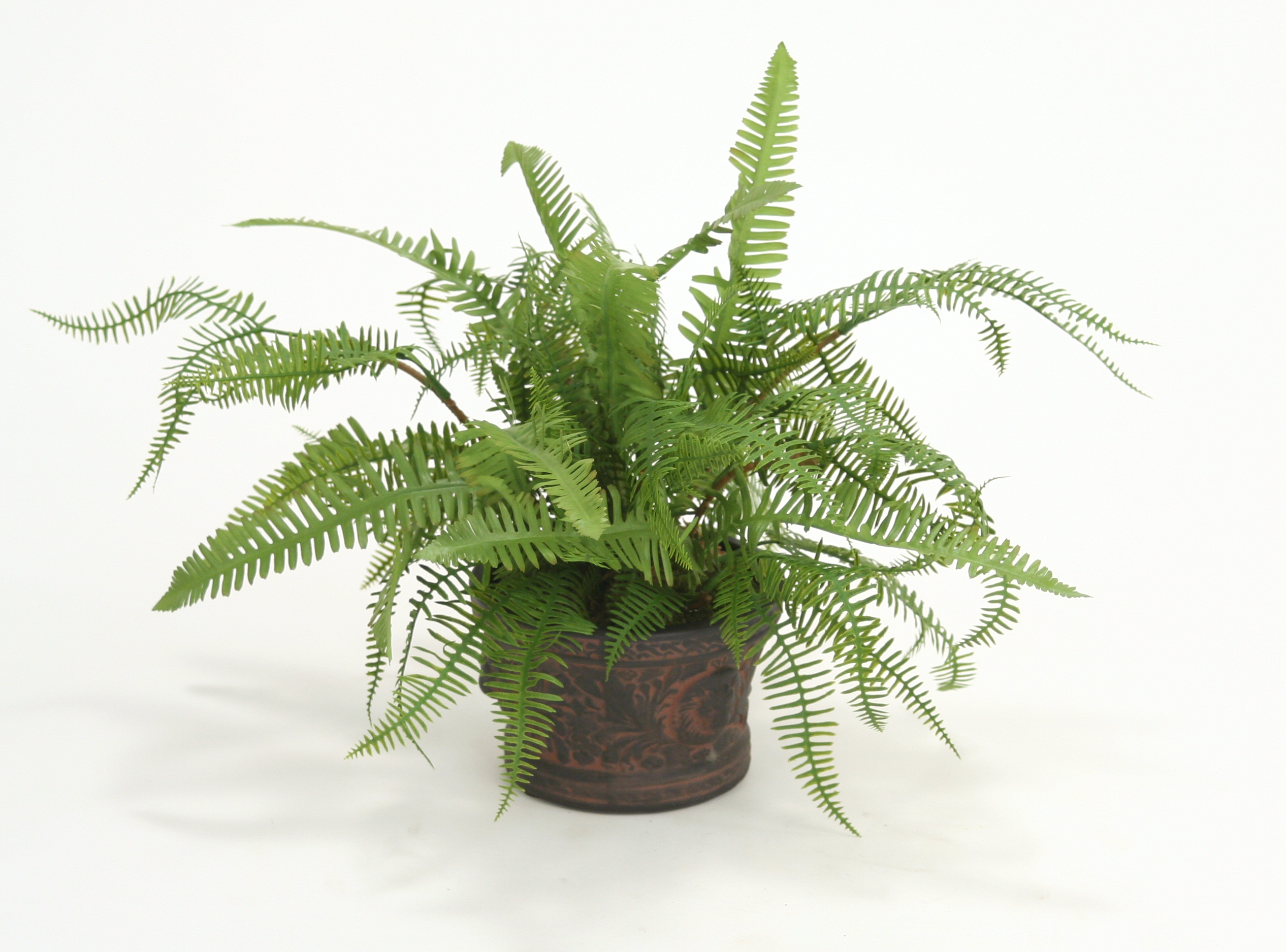 Silk Fern Mix in Small Rust Lion Relief Planter (Pack of 2)