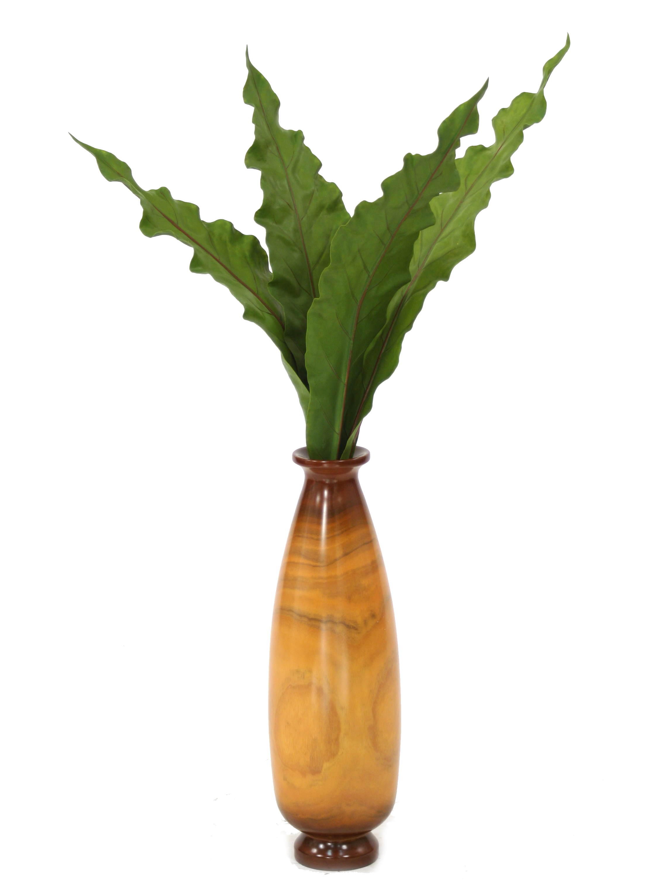 Silk Green Anthurium Leaves (Drop in) in Wood Vase | Free Shipping in
