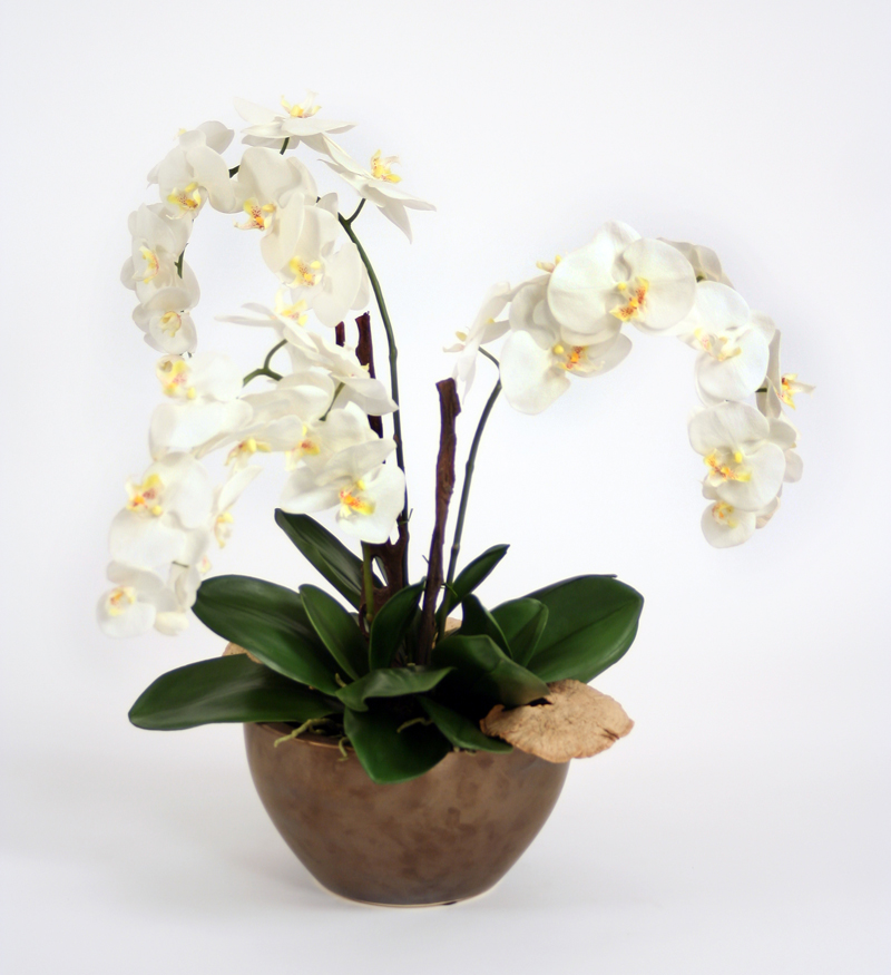 Silk Rust Vanda Orchid in Bronze Leaf Bowl | Free Shipping in USA ...