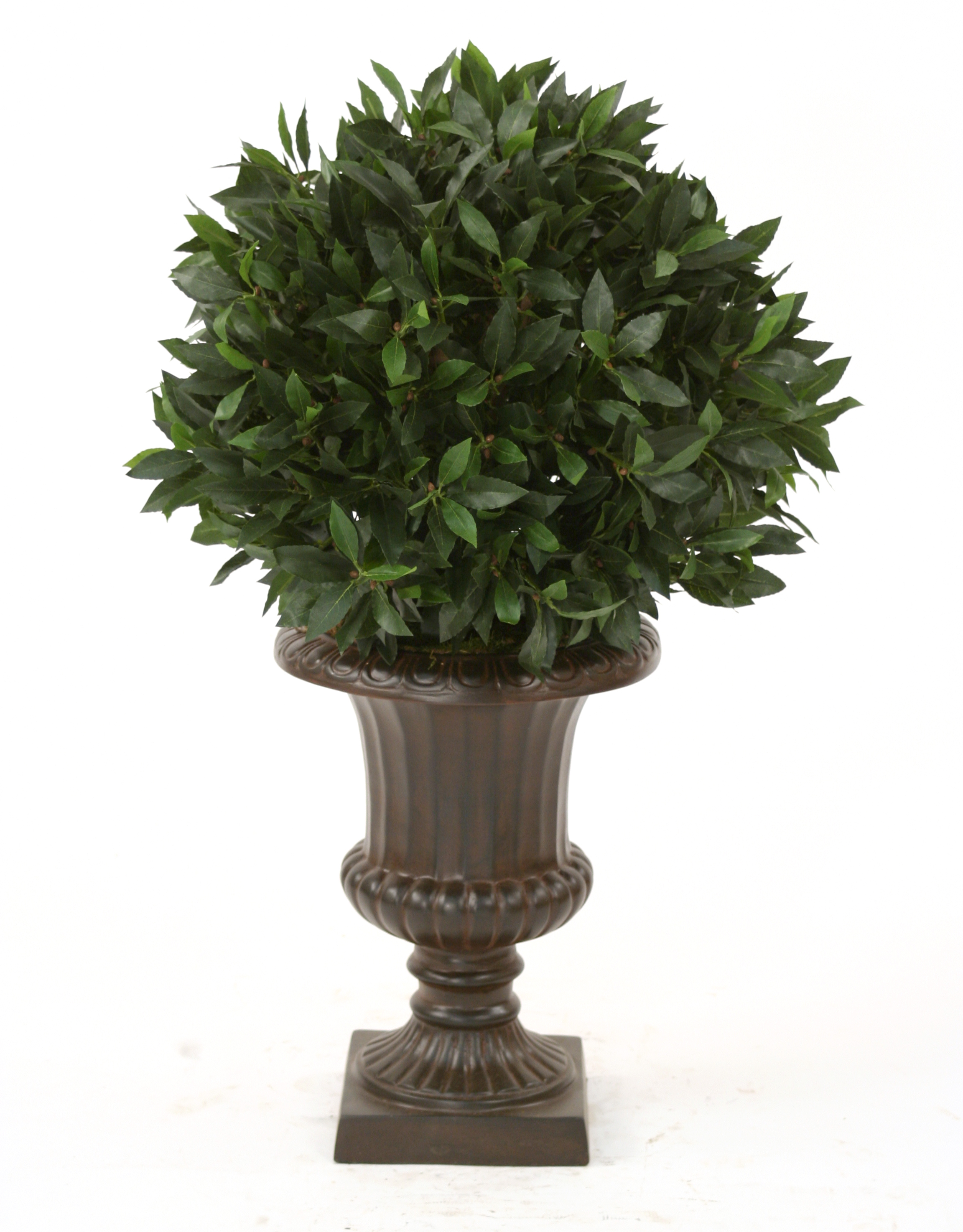 Sweet Bay Single Ball Topiary in Rust Fiberglass Classic Urn | Free ...