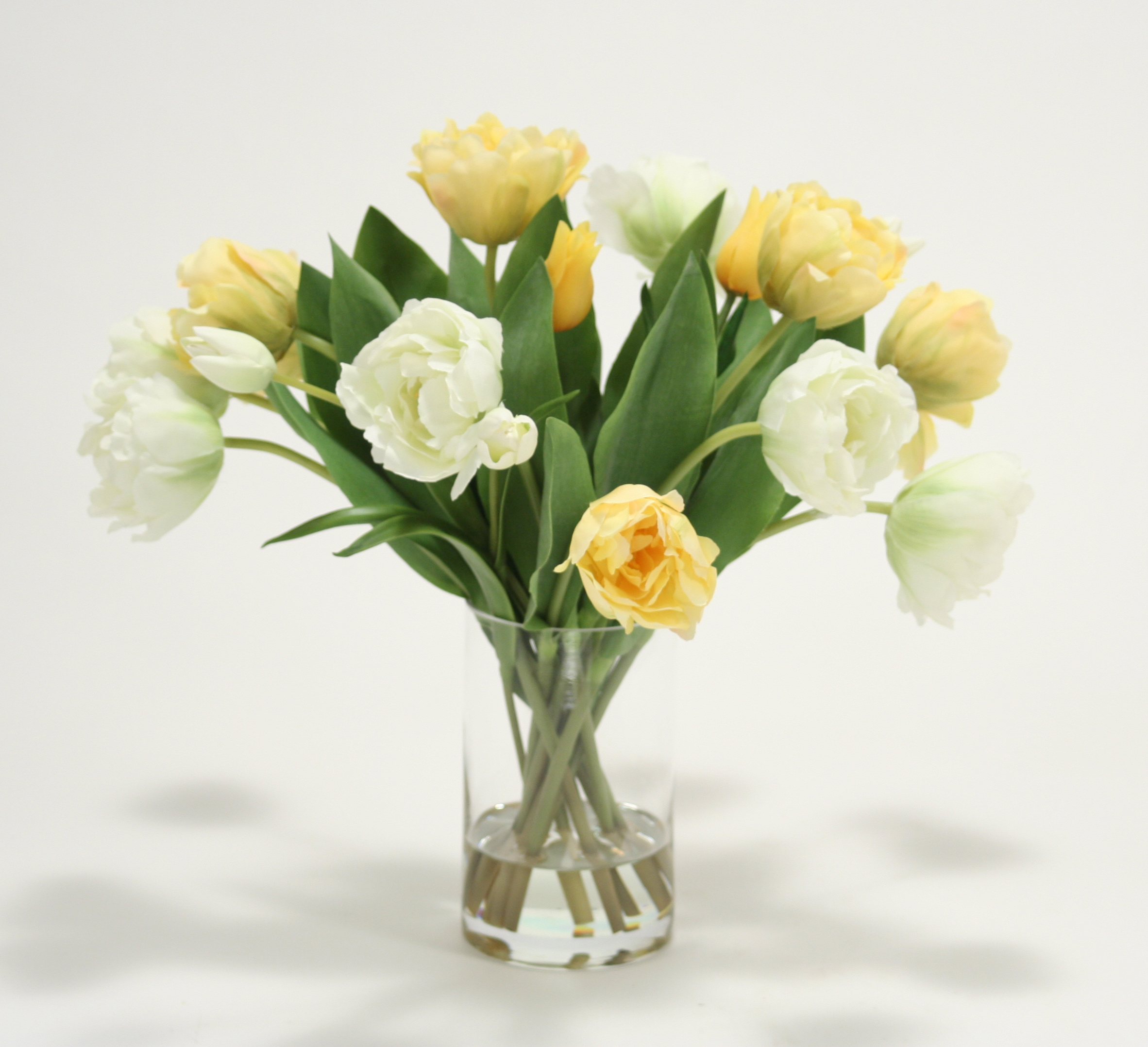 Waterlook ® Mixed Yellow and Cream Green Tulips in Tall Glass Cylinder Vase