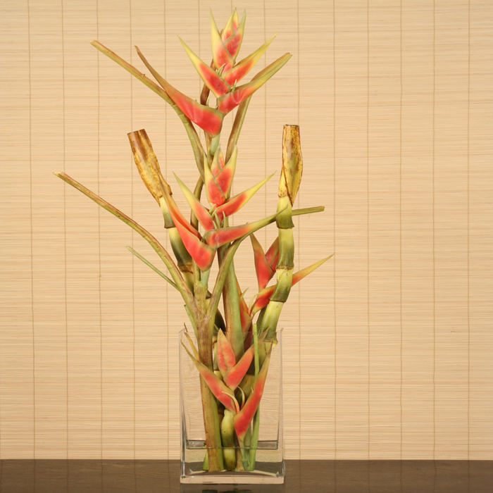 Waterlook ® Faux Heliconia with Bird of Paradise Stalks in a Tall Glass Vase