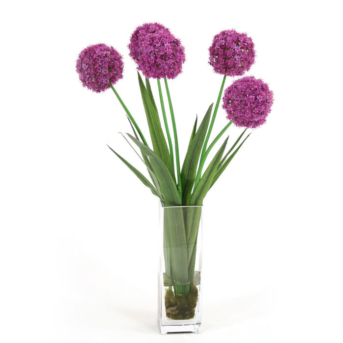 Alliums with blades in glass vase