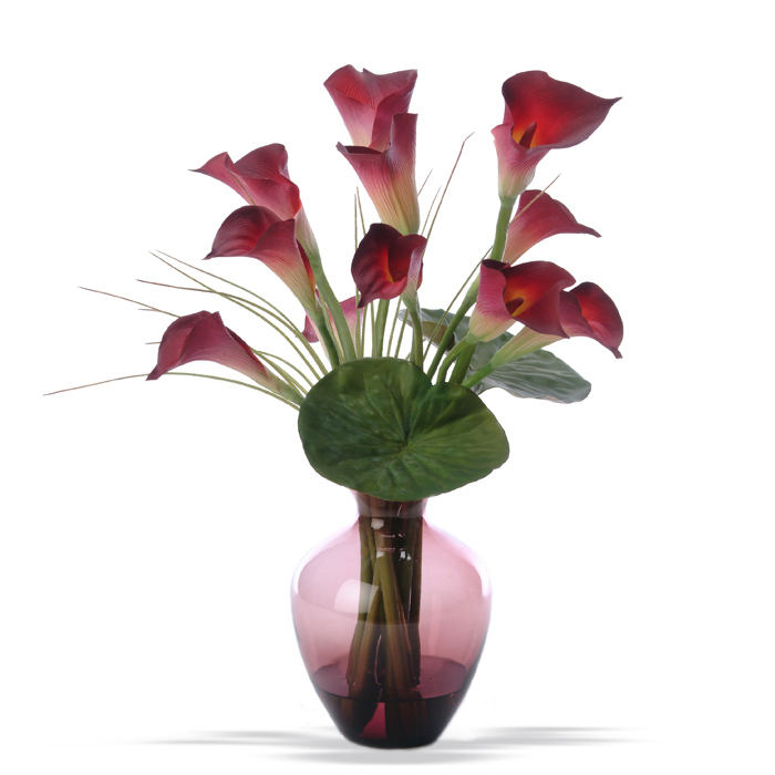 Burgundy calla lilies in vase