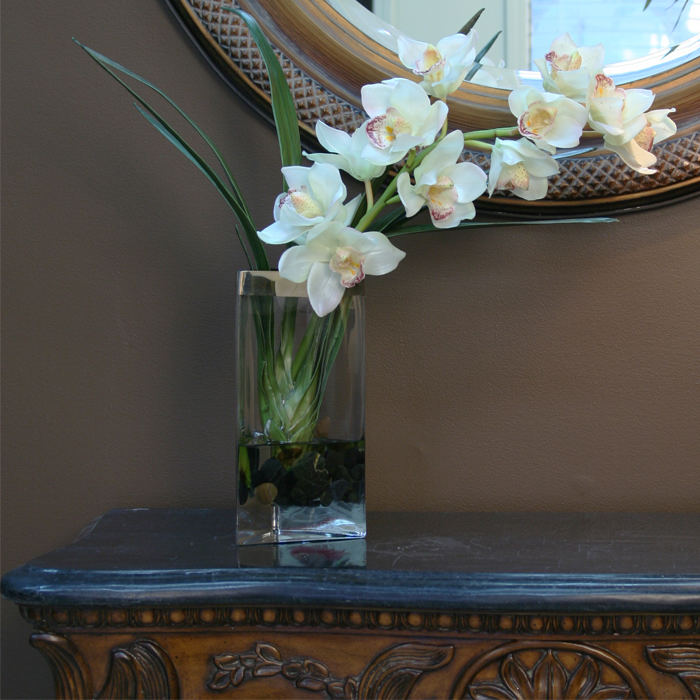 Cream White Cymbidium Orchid Spray in Triangle Vase Free Shipping in