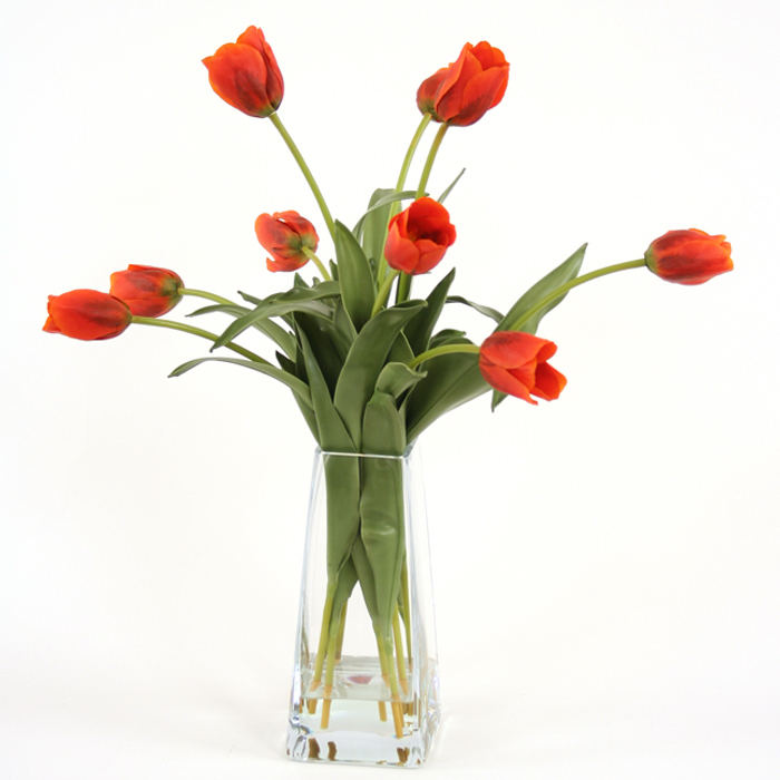 Red Orange Tulips in Tall Inverted Vase