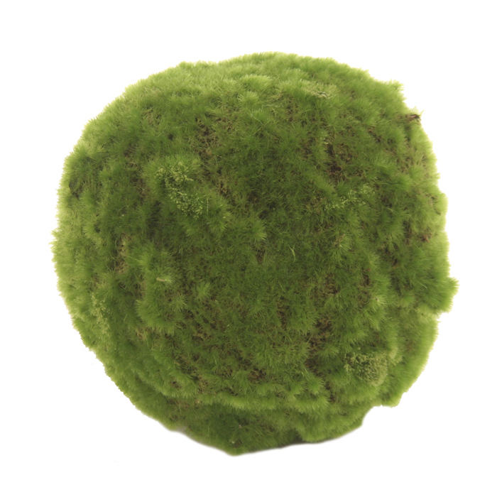 Large Green Moss Ball