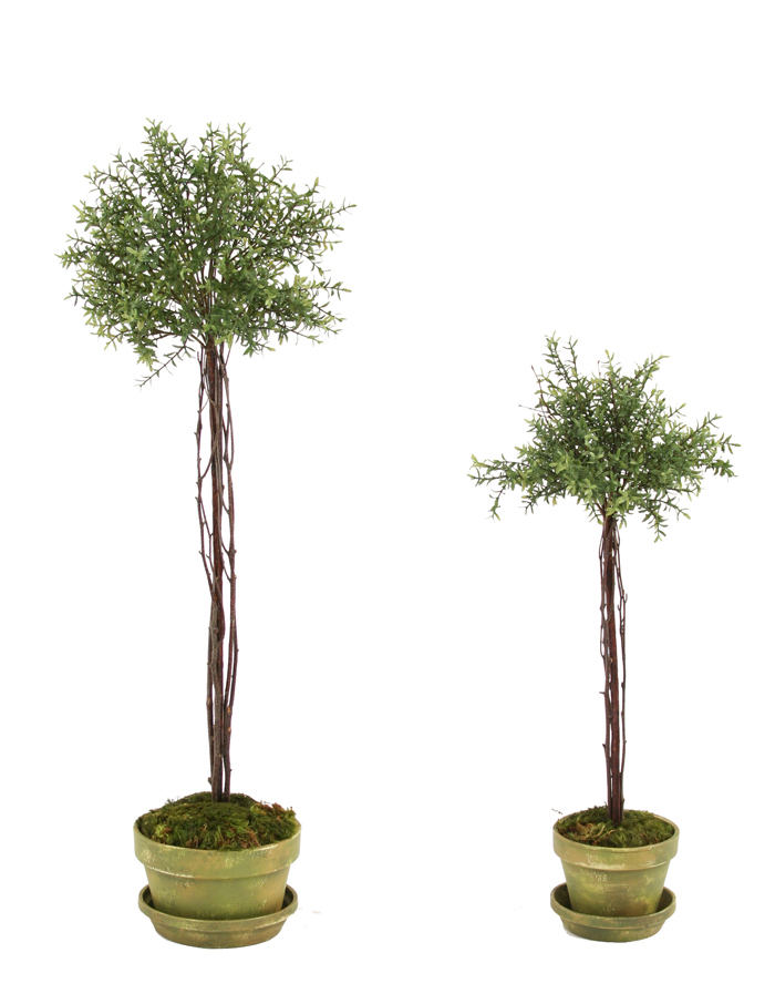 Set of 2 Silk Thyme Topiaries in Weathered Green Garden Pots Free