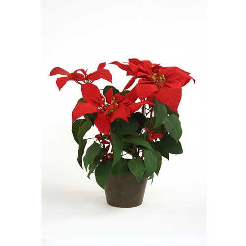 24' Silk Red Potted Poinsettia Free Shipping in USA