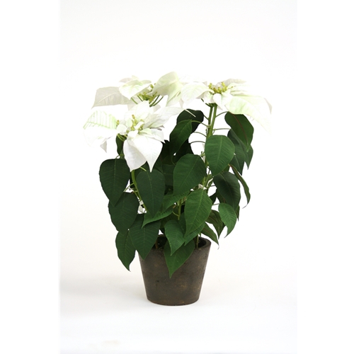 24' Silk White Potted Poinsettia Free Shipping in USA