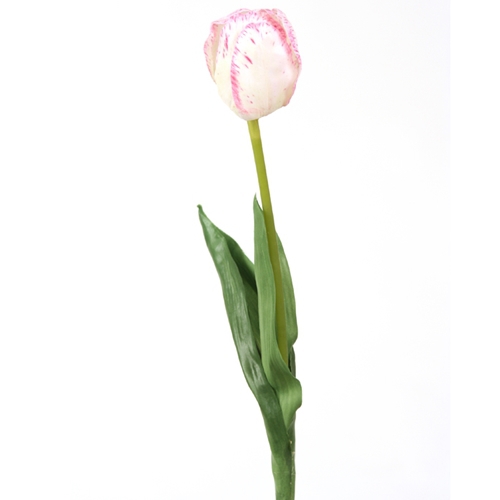 DIY Flower 22' Single Artificial Tulip, Cream with Fuchsia Edge, 2 Leaves  (Pack of 12; 240/Case)