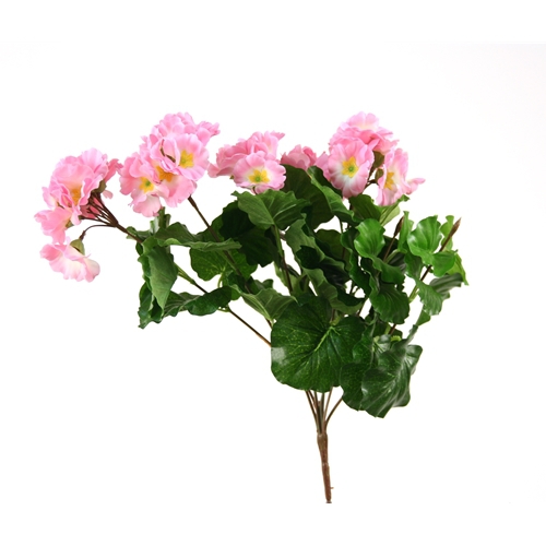 DIY Flower Fresh Rose Primrose Bush x 8