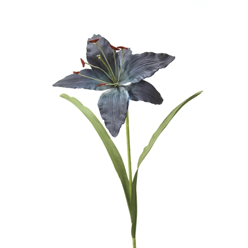 DIY Flower Kopen Blue Madonna Lily x 1