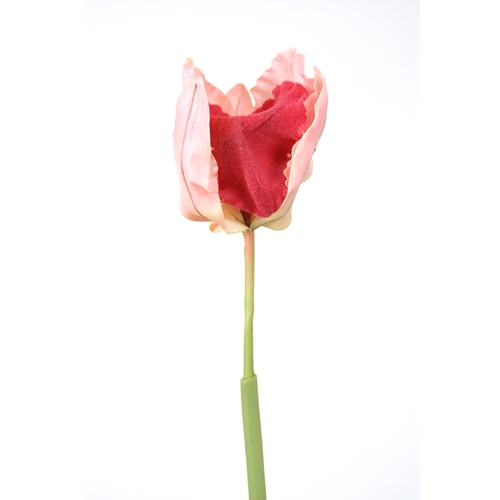 DIY Flower Pink Cattleya Head