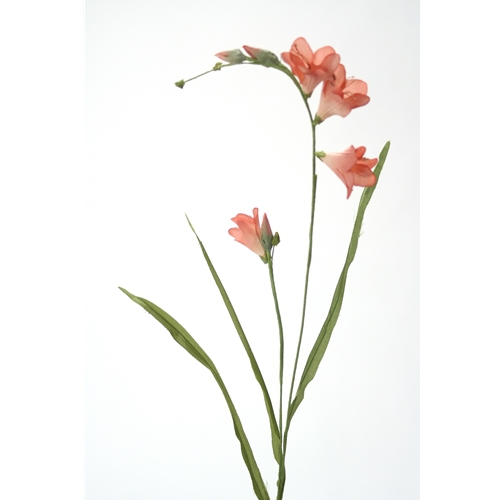 DIY Flower Soft Pink Freesia Pack of 12